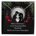 ShineOn-Fulfillment-Jewelry-14k-White-Gold-Finish-Alluring-Beauty-Pendant-necklace-in-Standard-Gift-Box-Christmas-necklace-gift-for-Wife-with-Personalized-gift-box-card. 

