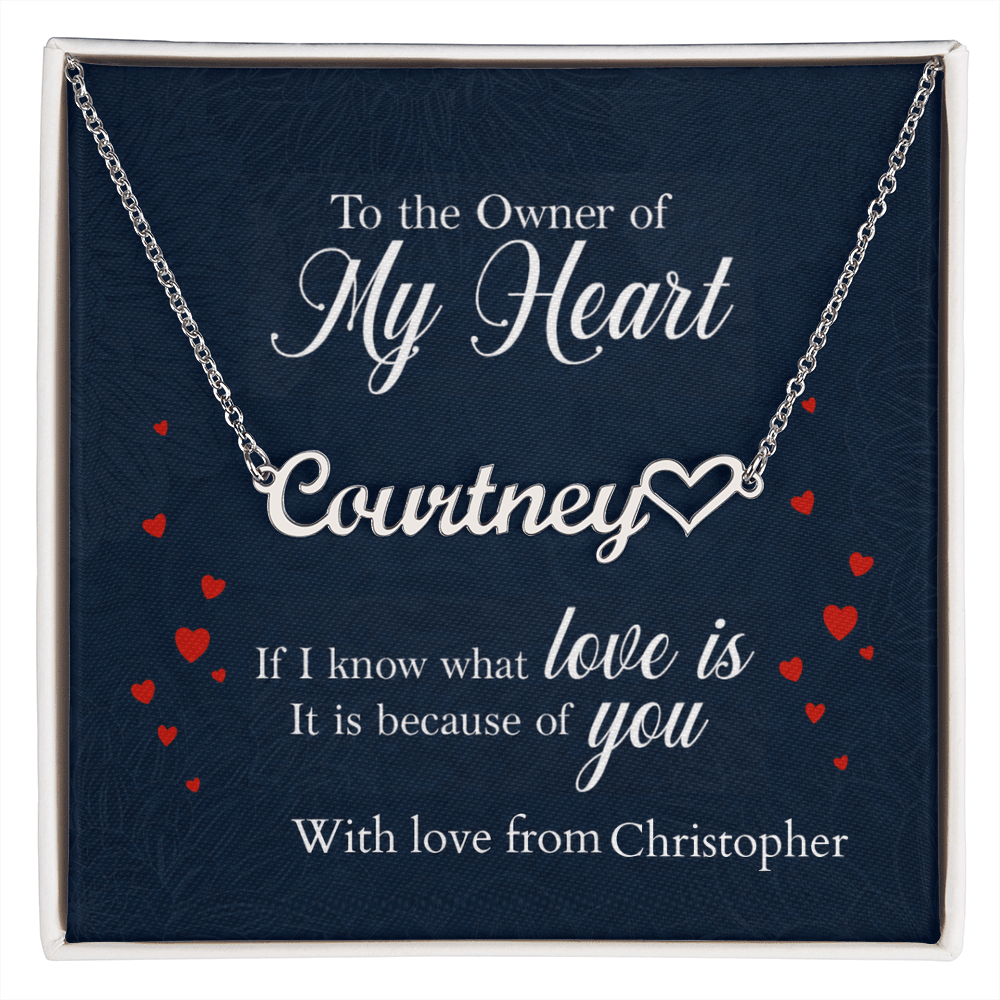 ShineOn-Fulfillment-Jewelry-Polished-Stainless-Steel-Name-Necklace-in-Standard-gift-Box-Name-Necklace-Gift-for-Girlfriend

