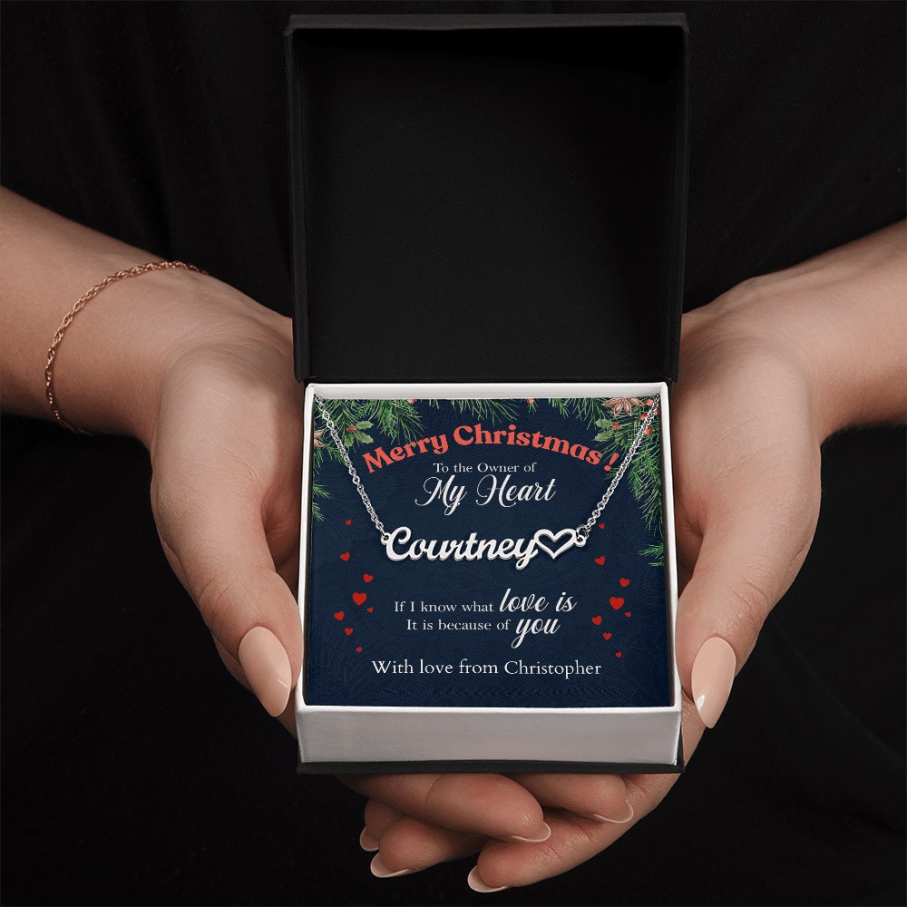 ShineOn-Fulfillment-Jewelry-Polished-Stainless-Steel-Name-Necklace-in-Standard-gift-Box-Name-Necklace-Gift-for-Girlfriend.
