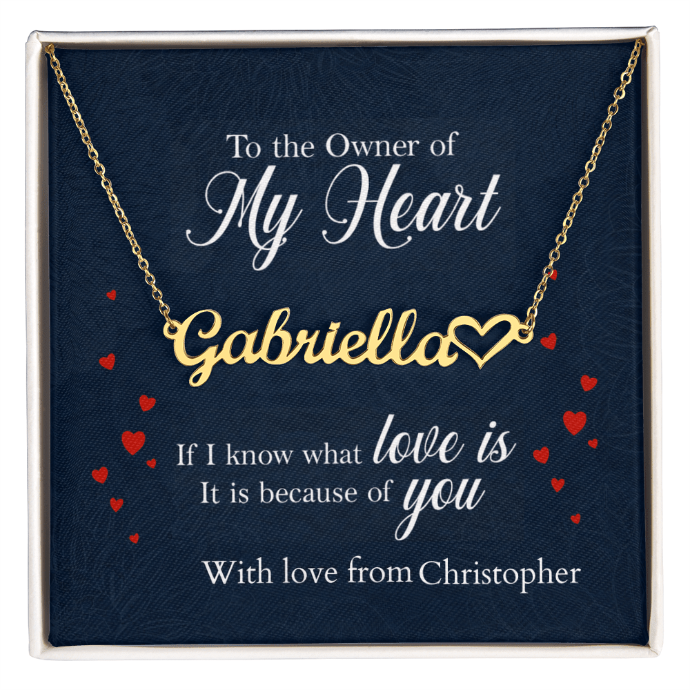 ShineOn-Fulfillment-Jewelry-18k-Yellow-Gold-Finish-Name-Necklace-in-Standard-Box-Name-Necklace-Gift-for-Girlfriend
