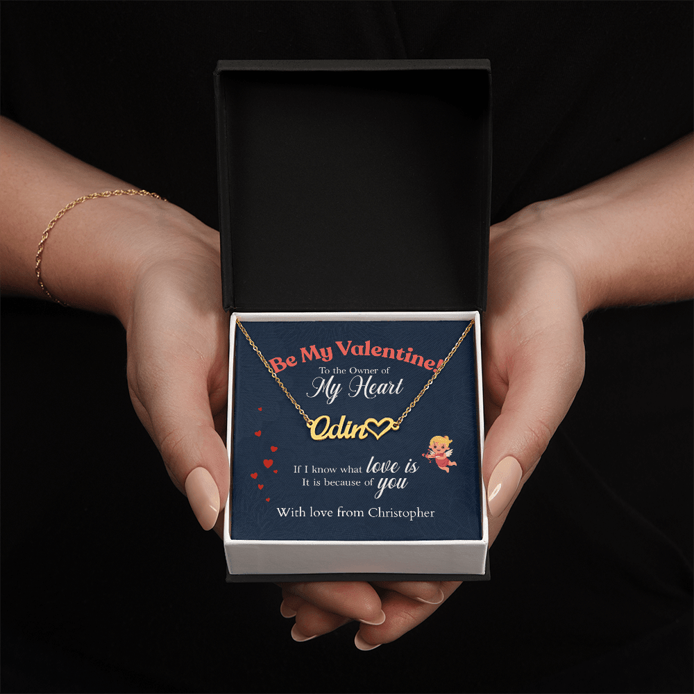ShineOn-Fulfillment-Jewelry-18k-Yellow-Gold-Finish-Name-Necklace-in-Standard-Box-Box-Name-Necklace-Gift-for-Girlfriend.
