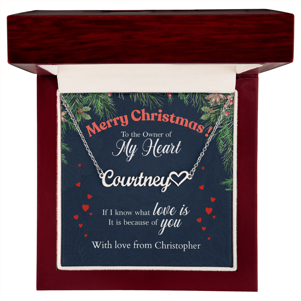 ShineOn-Fulfillment-Jewelry-Polished-Stainless-Steel-Name-Necklace-in-Luxury-gift-Box-Name-Necklace-Gift-for-Girlfriend.
