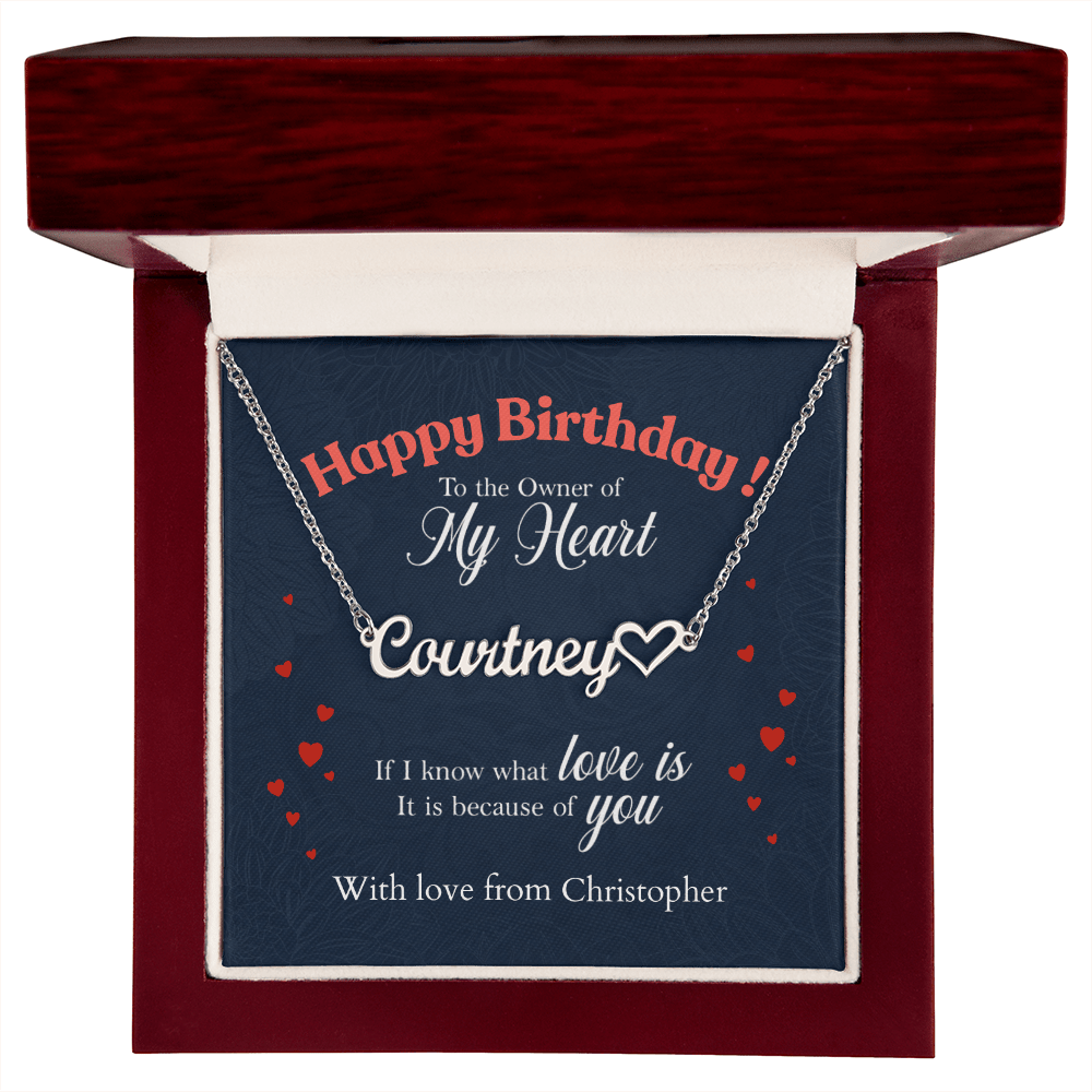 ShineOn-Fulfillment-Jewelry-Polished-Stainless-Steel-Name-Necklace-in-Luxury-gift-Box-Name-Necklace-Gift-for-Girlfriend