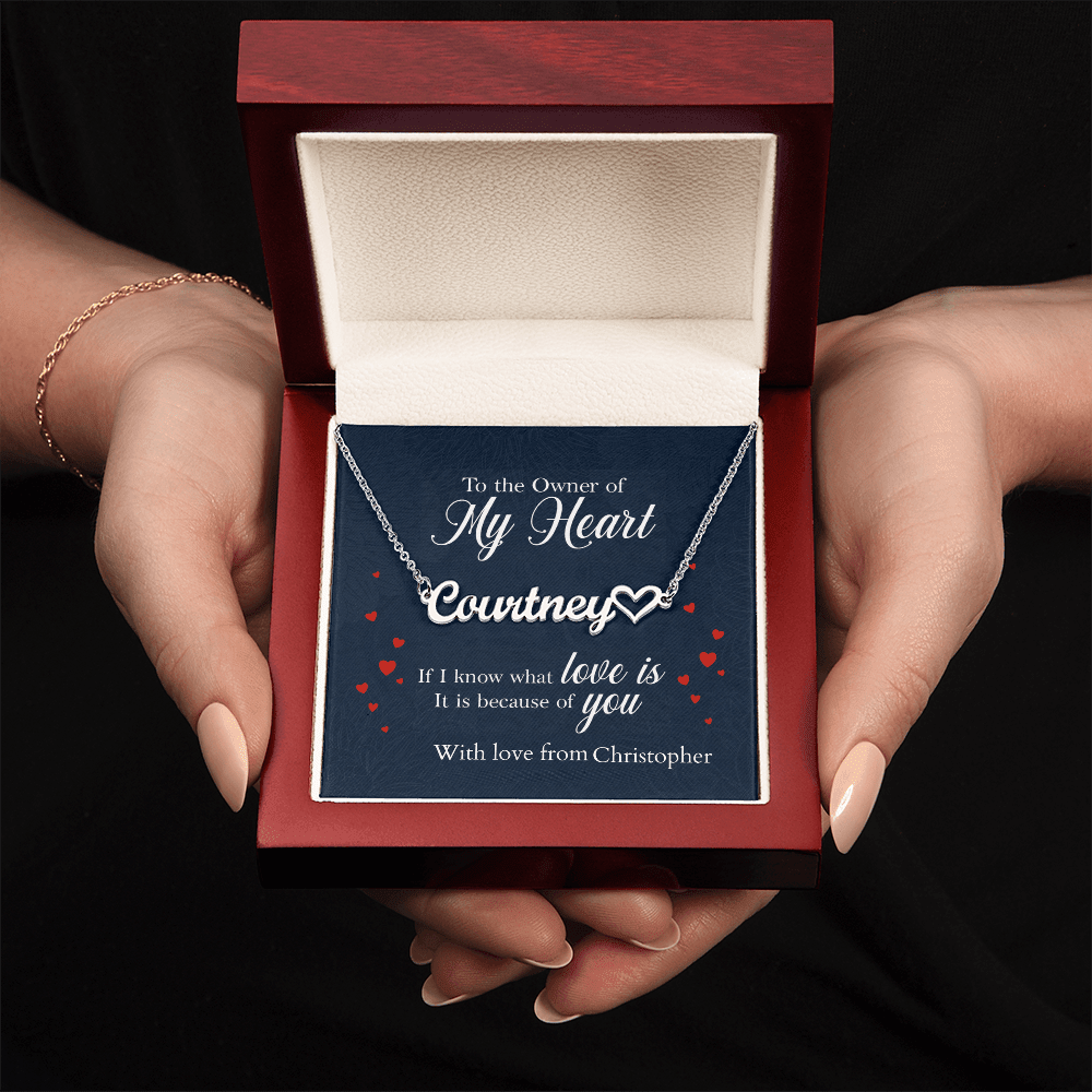 ShineOn-Fulfillment-Jewelry-Polished-Stainless-Steel-Name-Necklace-in-Luxury-gift-Box-Name-Necklace-Gift-for-Girlfriend
