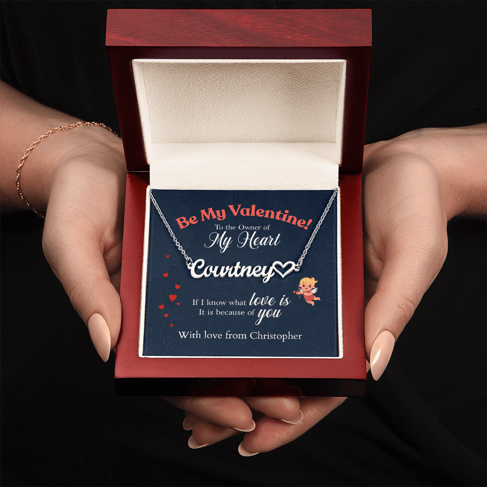 ShineOn-Fulfillment-Jewelry-Polished-Stainless-Steel-Name-Necklace-in-Luxury-gift-Box-Name-Necklace-Gift-for-Girlfriend.
