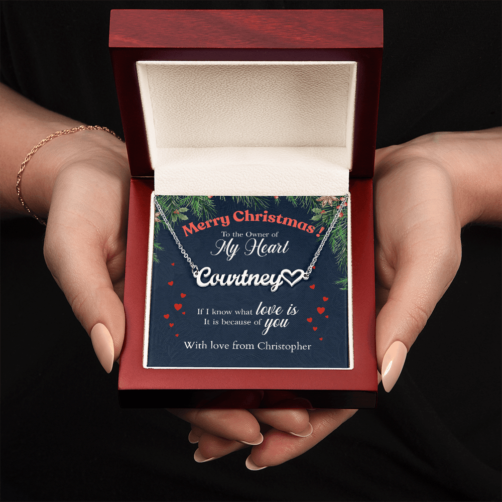ShineOn-Fulfillment-Jewelry-Polished-Stainless-Steel-Name-Necklace-in-Luxury-gift-Box-Name-Necklace-Gift-for-Girlfriend.
