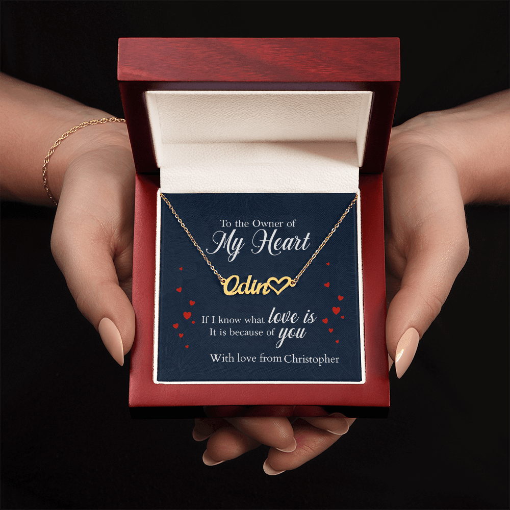 ShineOn-Fulfillment-Jewelry-18k-Yellow-Gold-Finish-Name-Necklace-in-Luxury-gift-Box-Name-Necklace-Gift-for-Girlfriend
