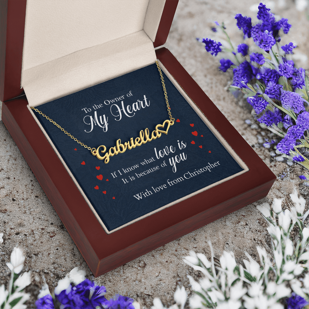 ShineOn-Fulfillment-Jewelry-18k-Yellow-Gold-Finish-Name-Necklace-in-Luxury-gift-Box-Name-Necklace-Gift-for-Girlfriend
