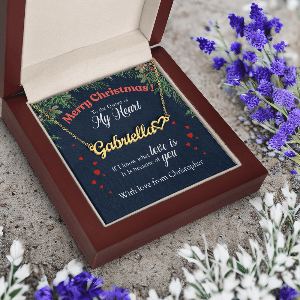 ShineOn-Fulfillment-Jewelry-18k-Yellow-Gold-Finish-Name-Necklace-in-Luxury-gift-Box-Name-Necklace-Gift-for-Girlfriend.