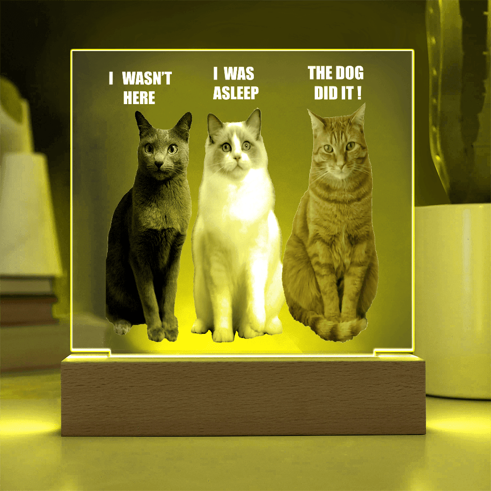 ShineOn Fulfillment Jewelry Acrylic Led lit Plaque of a Guilty Cat Trio Any time Gift for Cat Owners/lovers