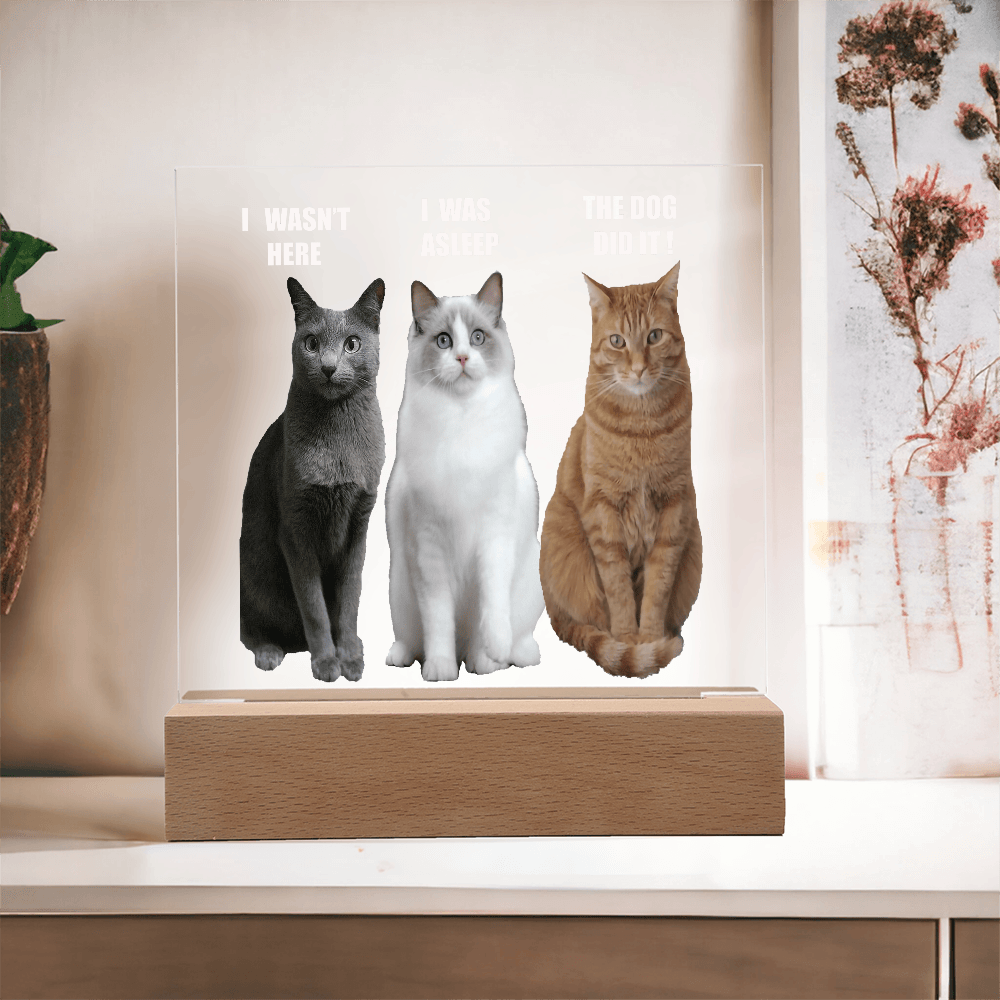ShineOn Fulfillment Jewelry Acrylic Led lit Plaque of a Guilty Cat Trio Any time Gift for Cat Owners/lovers