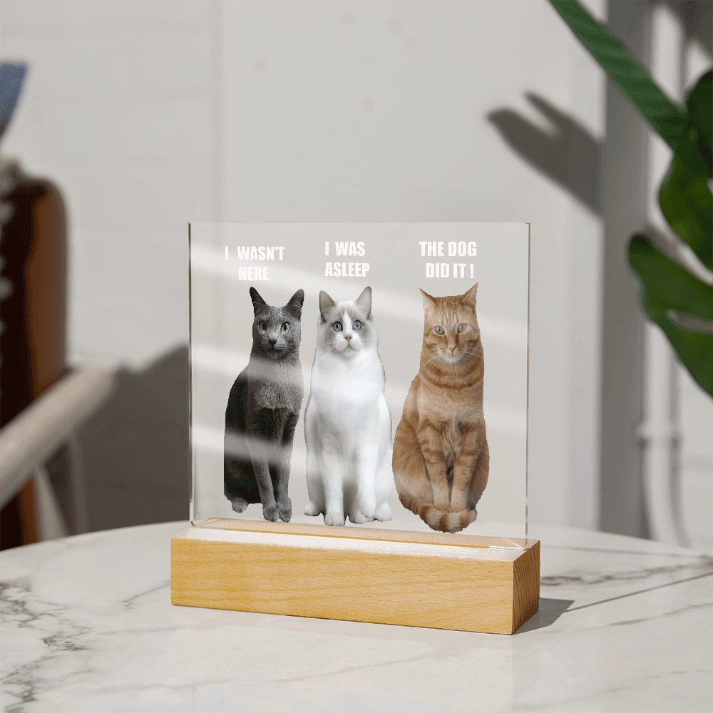 ShineOn Fulfillment Jewelry Acrylic Led lit Plaque of a Guilty Cat Trio Any time Gift for Cat Owners/lovers