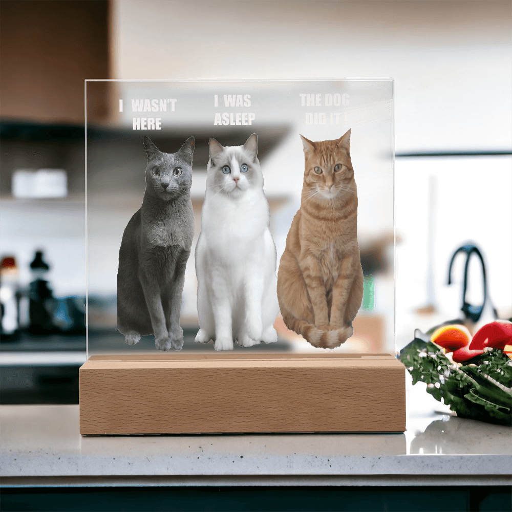 ShineOn Fulfillment Jewelry Acrylic Led lit Plaque of a Guilty Cat Trio Any time Gift for Cat Owners/lovers