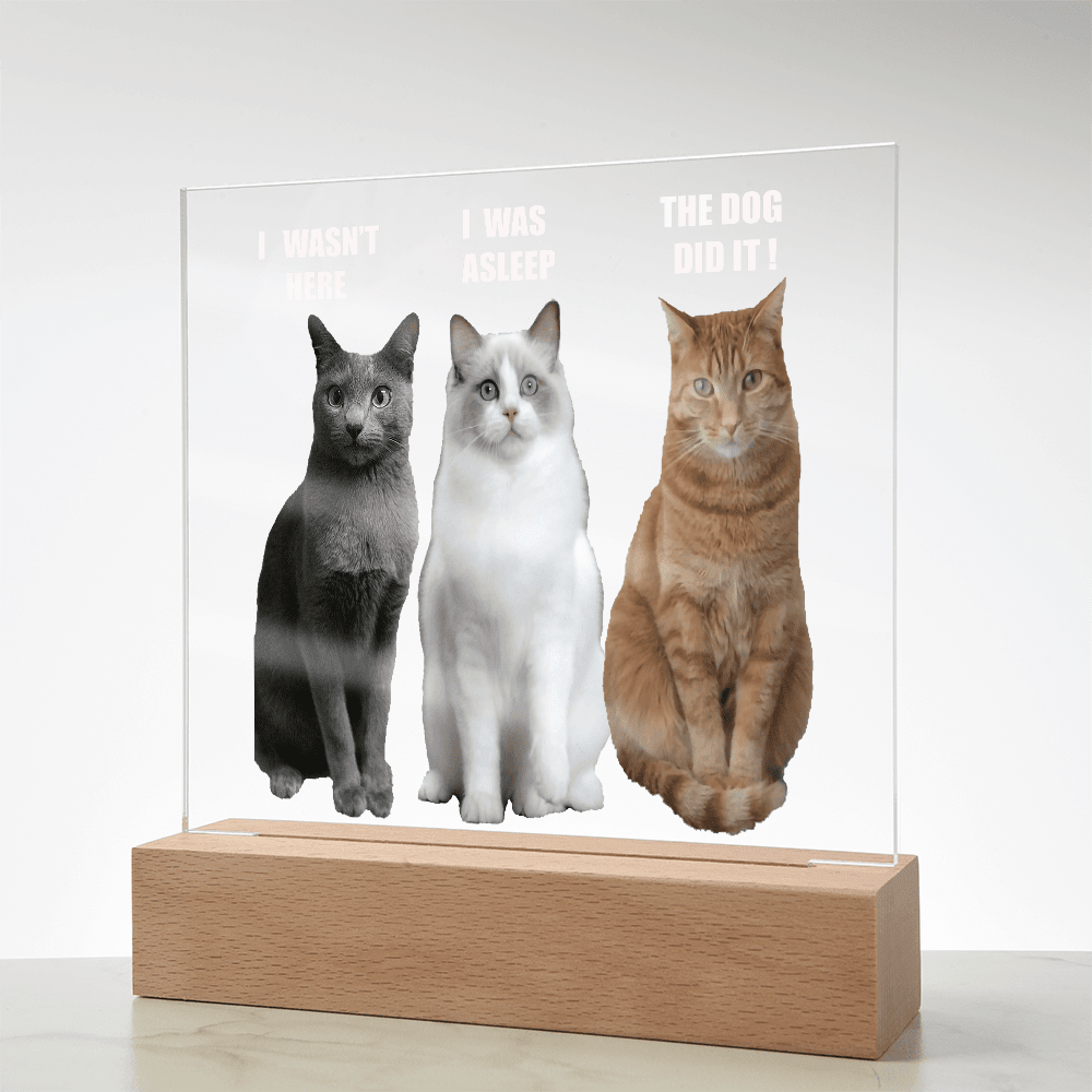 ShineOn Fulfillment Jewelry Acrylic Led lit Plaque of a Guilty Cat Trio Any time Gift for Cat Owners/lovers