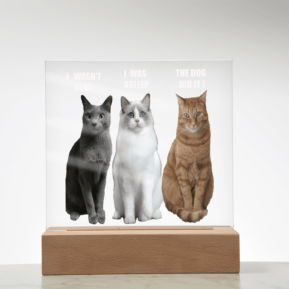 ShineOn Fulfillment Jewelry Acrylic Led lit Plaque of a Guilty Cat Trio Any time Gift for Cat Owners/lovers