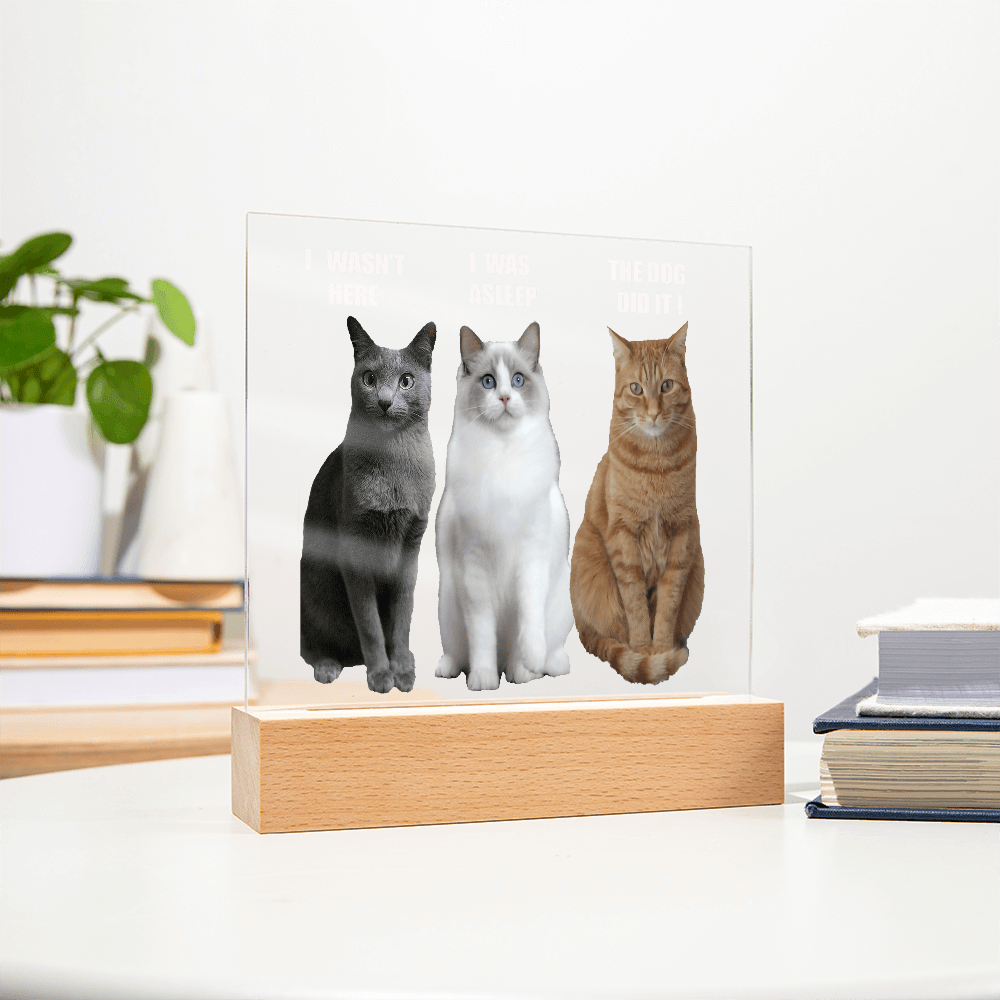 ShineOn Fulfillment Jewelry Acrylic Led lit Plaque of a Guilty Cat Trio Any time Gift for Cat Owners/lovers