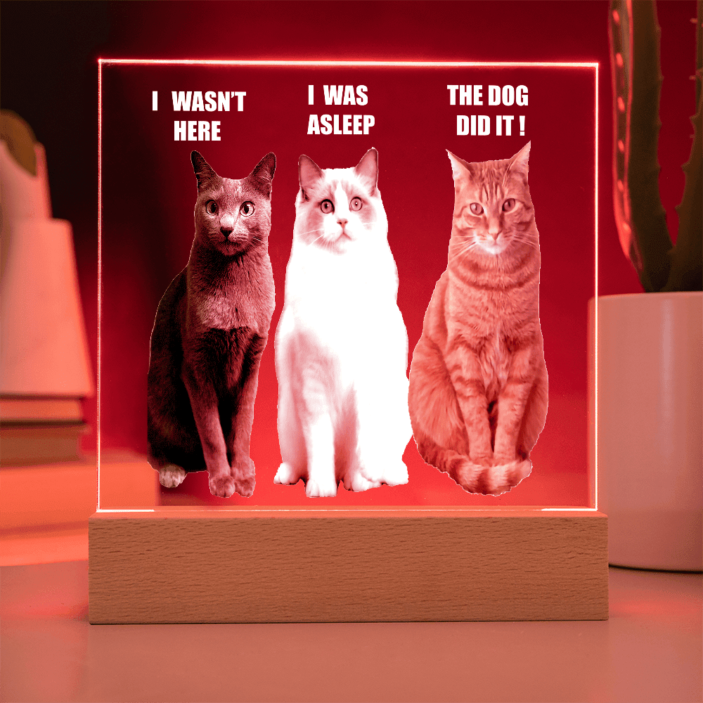 ShineOn Fulfillment Jewelry Acrylic Led lit Plaque of a Guilty Cat Trio Any time Gift for Cat Owners/lovers