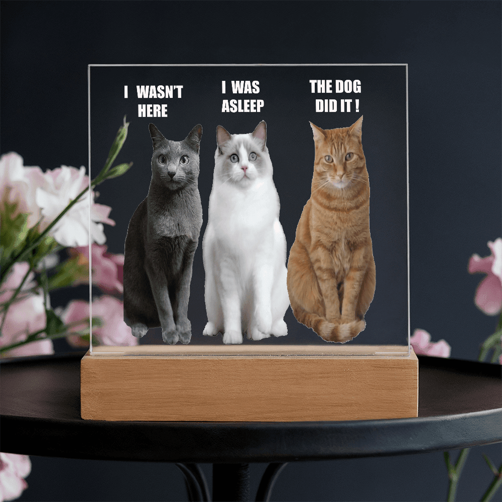ShineOn Fulfillment Jewelry Acrylic Led lit Plaque of a Guilty Cat Trio Any time Gift for Cat Owners/lovers