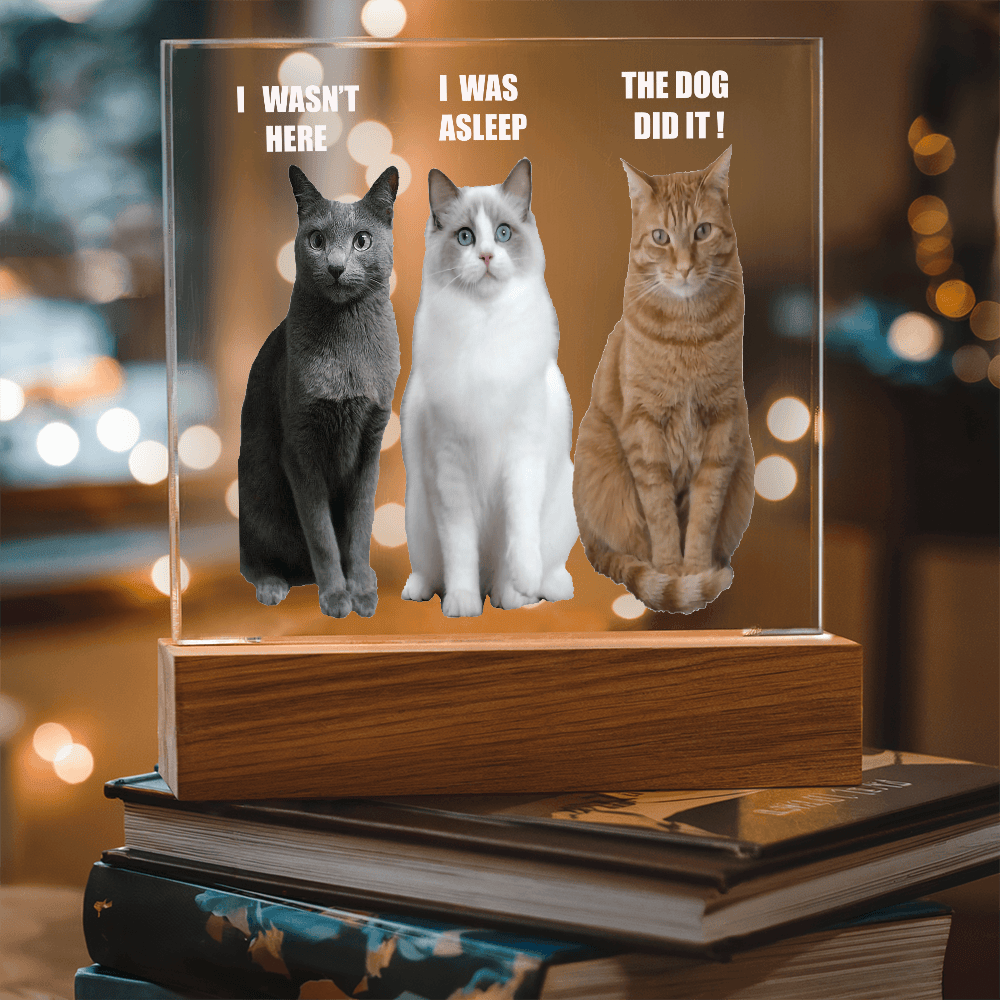 ShineOn Fulfillment Jewelry Acrylic Led lit Plaque of a Guilty Cat Trio Any time Gift for Cat Owners/lovers