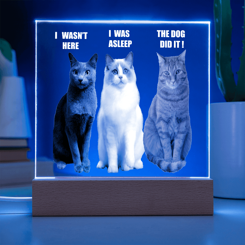 ShineOn Fulfillment Jewelry Acrylic Led lit Plaque of a Guilty Cat Trio Any time Gift for Cat Owners/lovers