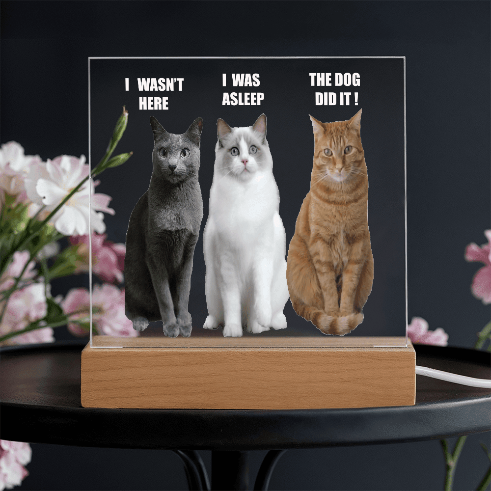ShineOn Fulfillment Jewelry Acrylic Led lit Plaque of a Guilty Cat Trio Any time Gift for Cat Owners/lovers