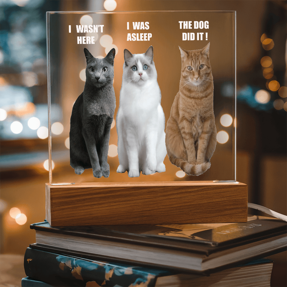ShineOn Fulfillment Jewelry Acrylic Led lit Plaque of a Guilty Cat Trio Any time Gift for Cat Owners/lovers