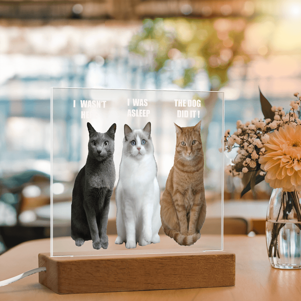 ShineOn Fulfillment Jewelry Acrylic Led lit Plaque of a Guilty Cat Trio Any time Gift for Cat Owners/lovers
