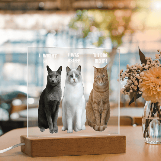 ShineOn Fulfillment Jewelry Acrylic Led lit Plaque of a Guilty Cat Trio Any time Gift for Cat Owners/lovers