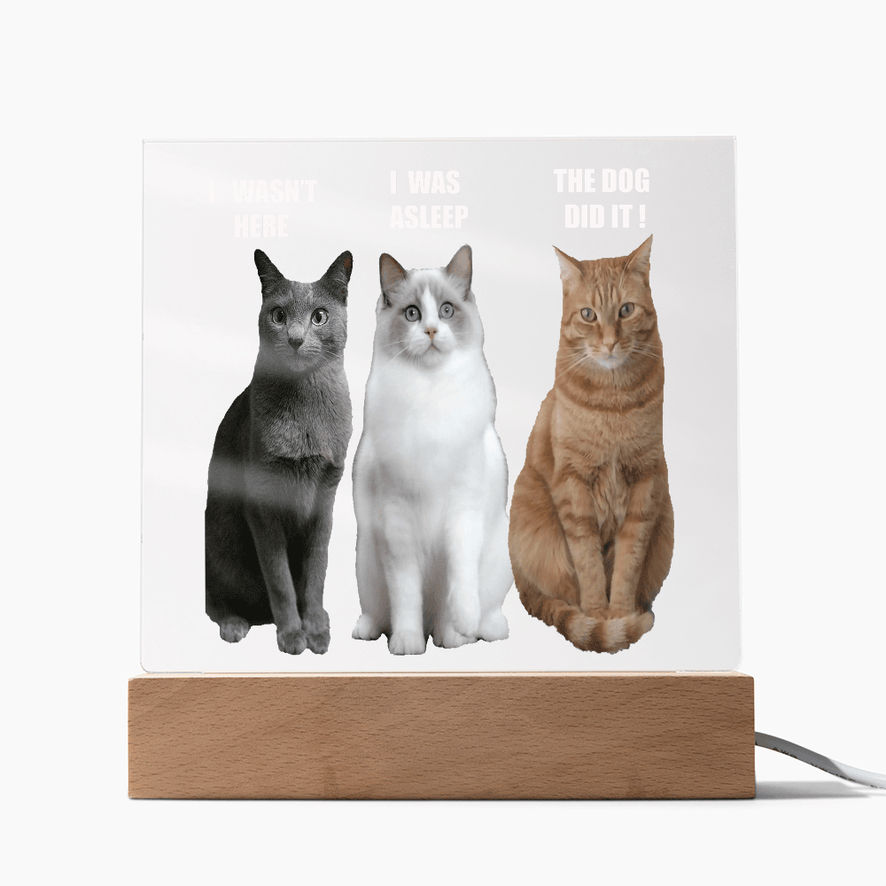 ShineOn Fulfillment Jewelry Acrylic Led lit Plaque of a Guilty Cat Trio Any time Gift for Cat Owners/lovers