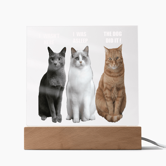 ShineOn Fulfillment Jewelry Acrylic Led lit Plaque of a Guilty Cat Trio Any time Gift for Cat Owners/lovers