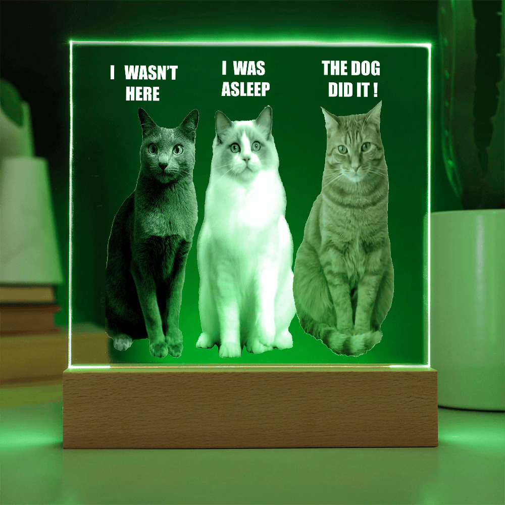 ShineOn Fulfillment Jewelry Battery Powered LED Base Acrylic Led lit Plaque of a Guilty Cat Trio Any time Gift for Cat Owners/lovers