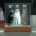 ShineOn Fulfillment Jewelry LED Corded Base Acrylic Led lit Plaque of a Guilty Cat Trio Any time Gift for Cat Owners/lovers
