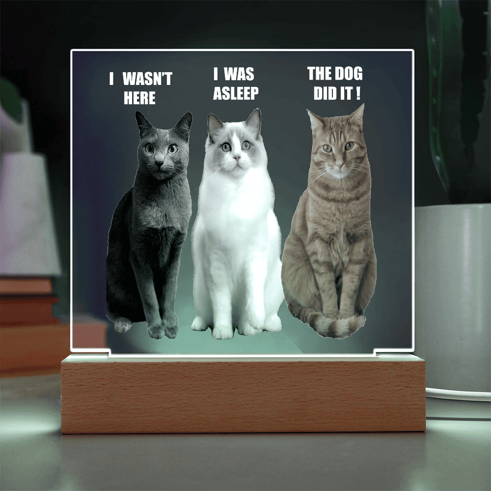 ShineOn Fulfillment Jewelry LED Corded Base Acrylic Led lit Plaque of a Guilty Cat Trio Any time Gift for Cat Owners/lovers